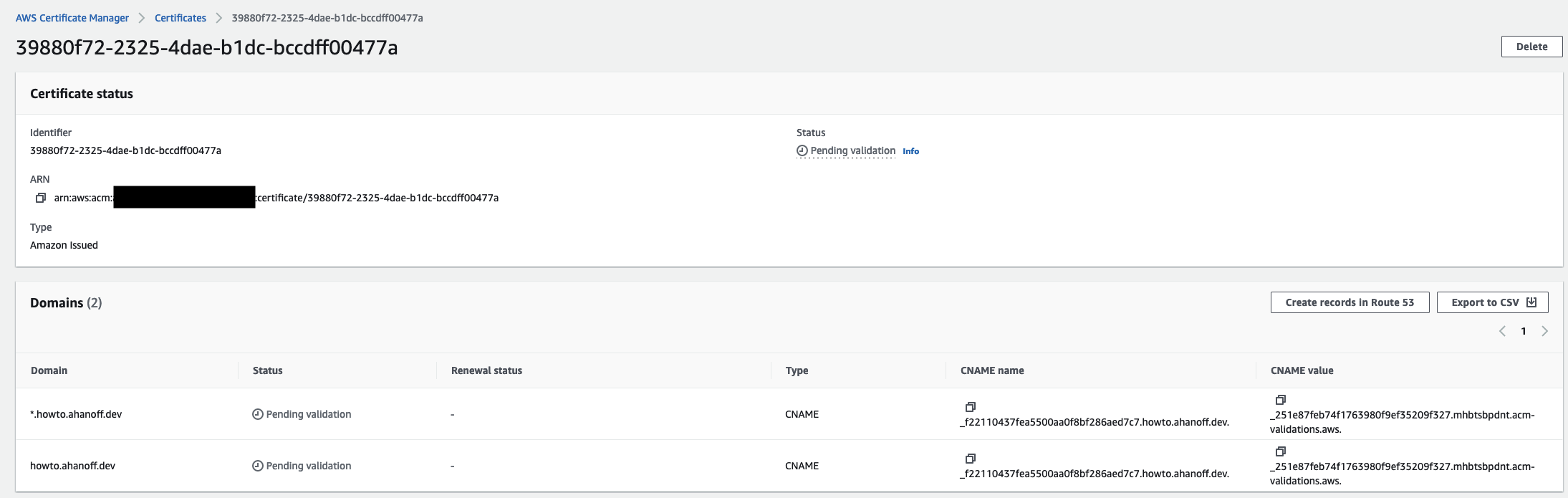 AWS ACM duplicate validation records